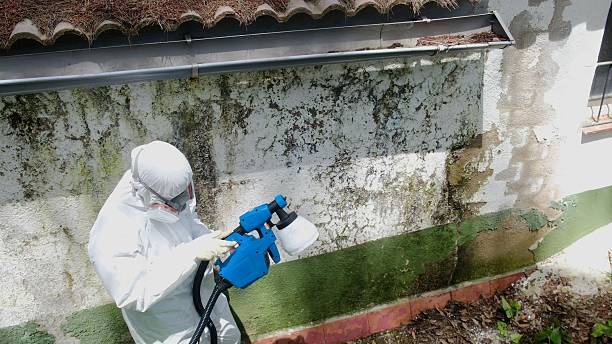 Trusted Mold Testing service in Geneva, IL - Cheap Mold Removal